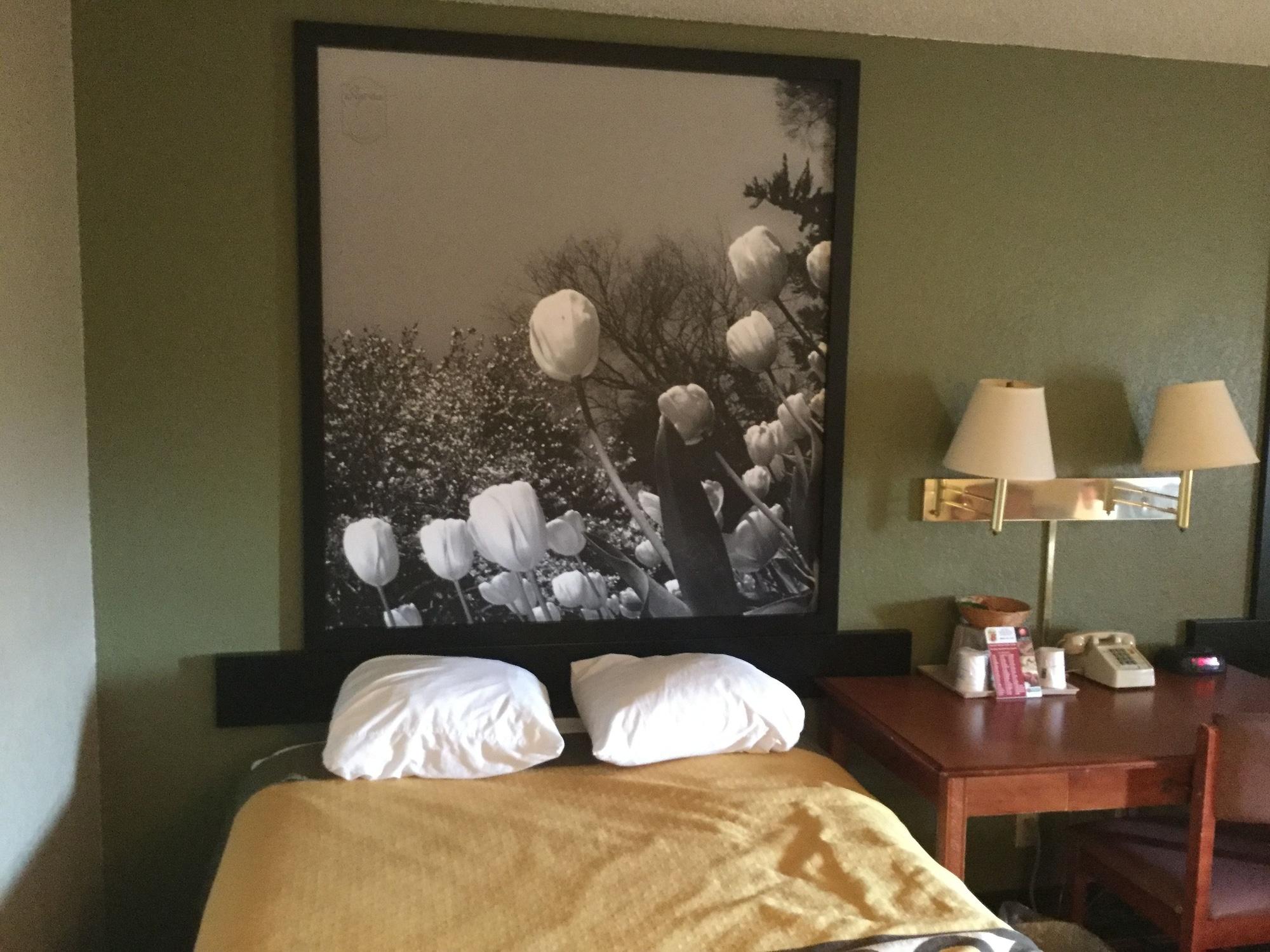 Super 8 By Wyndham Youngstown/Austintown Eksteriør billede